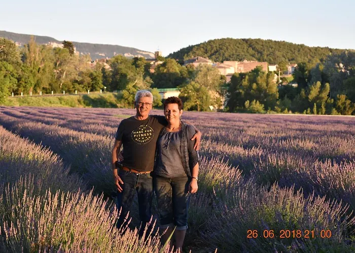 Les Cigales